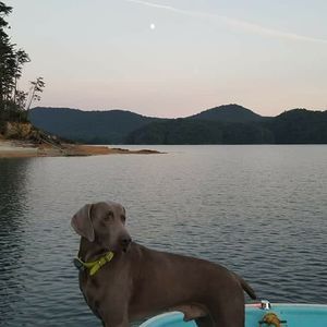 Meet your Posher, Brad